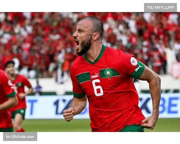 摩洛哥晋级世界杯正赛 扩军助推非洲球队崛起